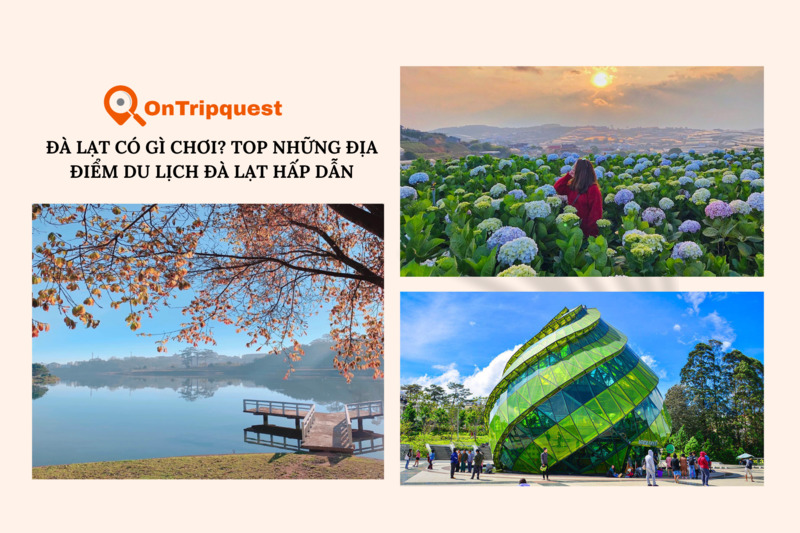 ontripquest blog
